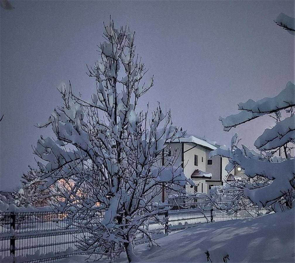 Pinerose Resort Бансько Екстер'єр фото