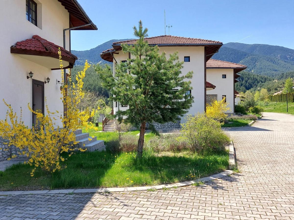 Pinerose Resort Бансько Екстер'єр фото