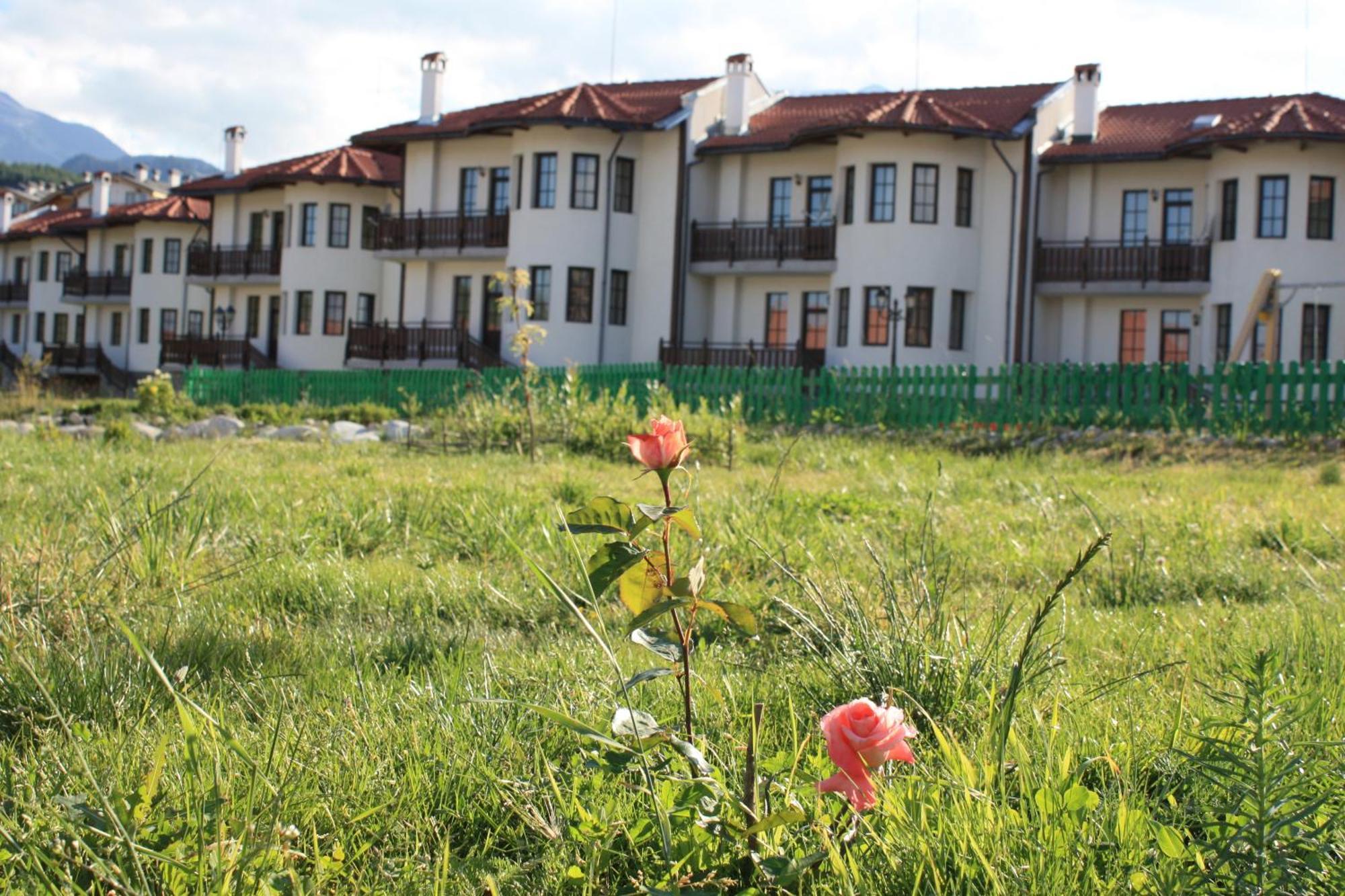Pinerose Resort Бансько Екстер'єр фото
