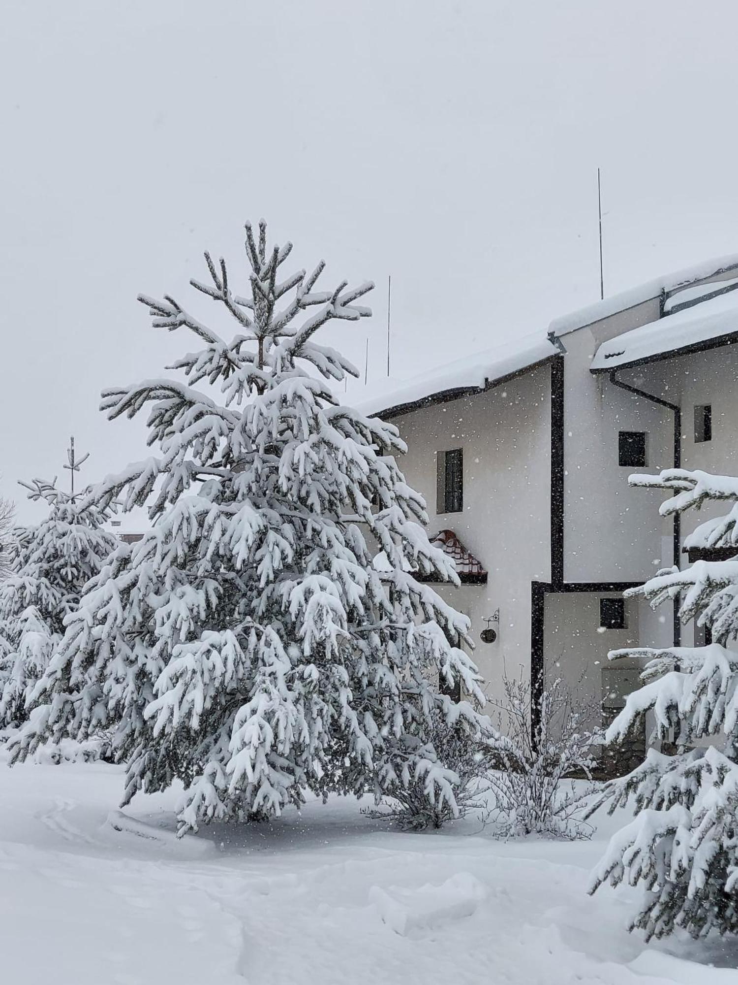 Pinerose Resort Бансько Екстер'єр фото